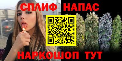 Альфа ПВП Камышлов