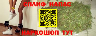 мяу мяу мука Кандалакша