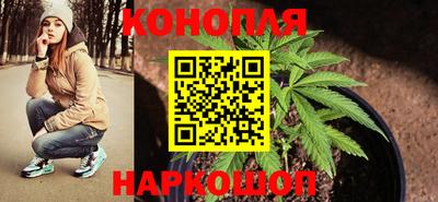 Альфа ПВП Камышлов