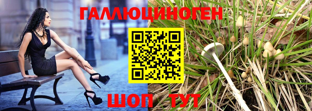 Псилоцибиновые грибы прущие грибы Краснодар